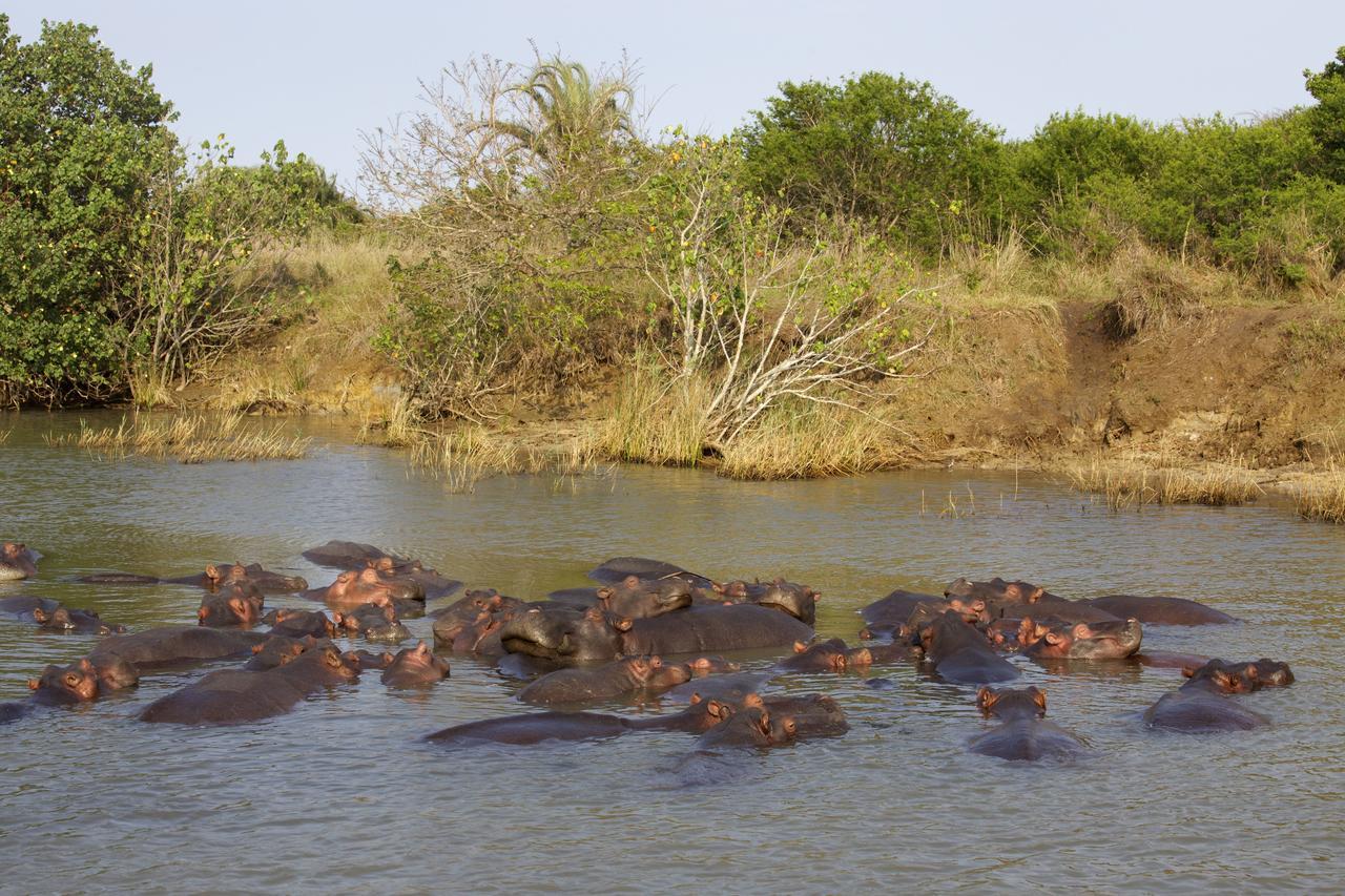 Lodge Afrique Saint Lucia Estuary Exterior foto